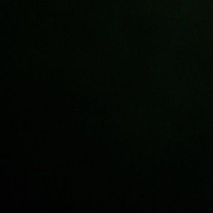 Meet your Posher, Dani